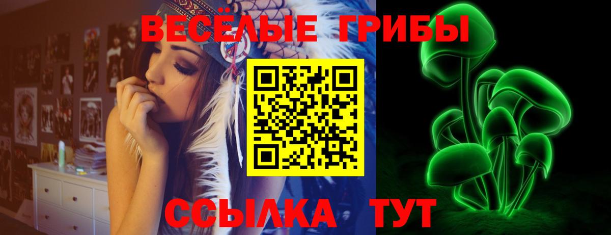 Псилоцибиновые грибы мицелий Альметьевск