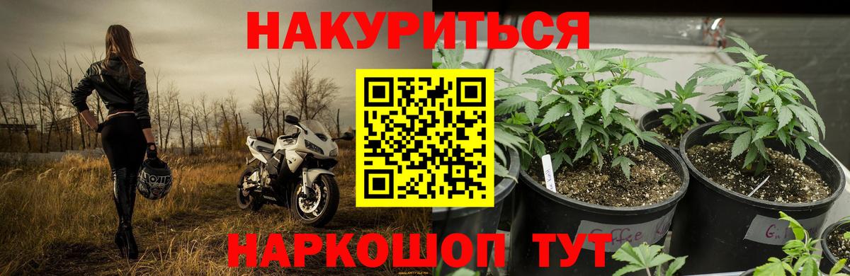Альметьевск  Конопля семена  Вход с VPN  Конопля ГИДРОПОН  Конопля Amnesia  МАРИХУАНА семена 